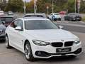 BMW 430 d 4er xDrive Sport Line/ACC/HeadUp/Kamera/LED Blanc - thumbnail 29