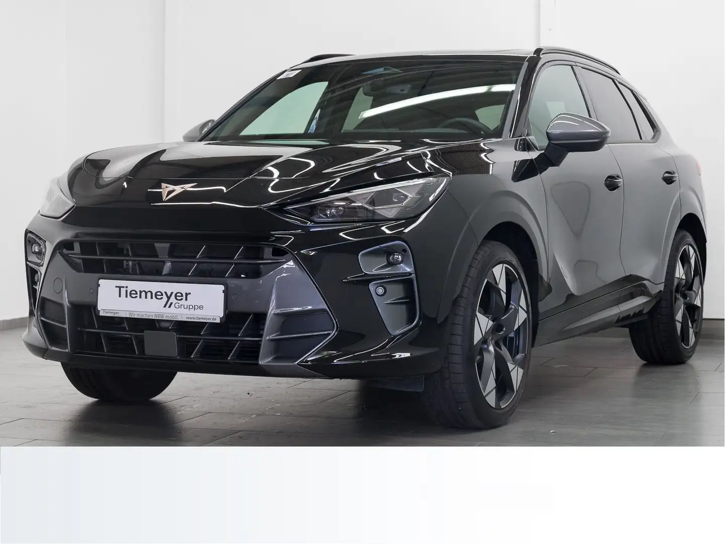 CUPRA Terramar 2.0 TSI DSG 4D VZ PANO MATRIX LM20 HuD Schwarz - 2