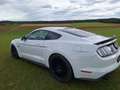 Ford Mustang 5,0 Ti-VCT V8 GT Aut. - thumbnail 19