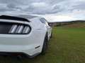 Ford Mustang 5,0 Ti-VCT V8 GT Aut. - thumbnail 16