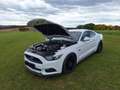 Ford Mustang 5,0 Ti-VCT V8 GT Aut. - thumbnail 12