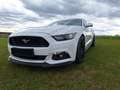 Ford Mustang 5,0 Ti-VCT V8 GT Aut. - thumbnail 11