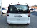 Volkswagen Caddy Life 2.0 TDI KR *LED*ACC*PDC* Weiß - thumbnail 6