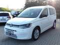 Volkswagen Caddy Life 2.0 TDI KR *LED*ACC*PDC* Weiß - thumbnail 4
