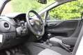 Fiat Punto Evo 1.3 MultiJet Sempre | EURO 6 | Cruise control | Cl Grau - thumbnail 5