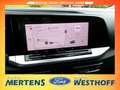 Ford Grand Tourneo Active LED Panorama Winter-Paket Grigio - thumbnail 6