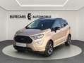 Ford EcoSport 1.0 ST LINE / ANHÄNGERKUPP / PARKPILOT / RÜCKKAMM Braun - thumbnail 8