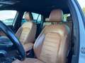 Volkswagen Golf VII 1.6 TDI BlueMotion Tech. Rabbit Weiß - thumbnail 36