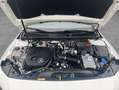 Mercedes-Benz A 250 A-Klasse Alb - thumbnail 21