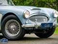 Austin-Healey 3000 MK II, 1962 Bleu - thumbnail 15