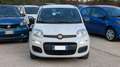 Fiat Panda 1.2cc 69cv Bianco - thumbnail 14