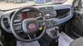 Fiat Panda 1.2cc 69cv Bianco - thumbnail 6