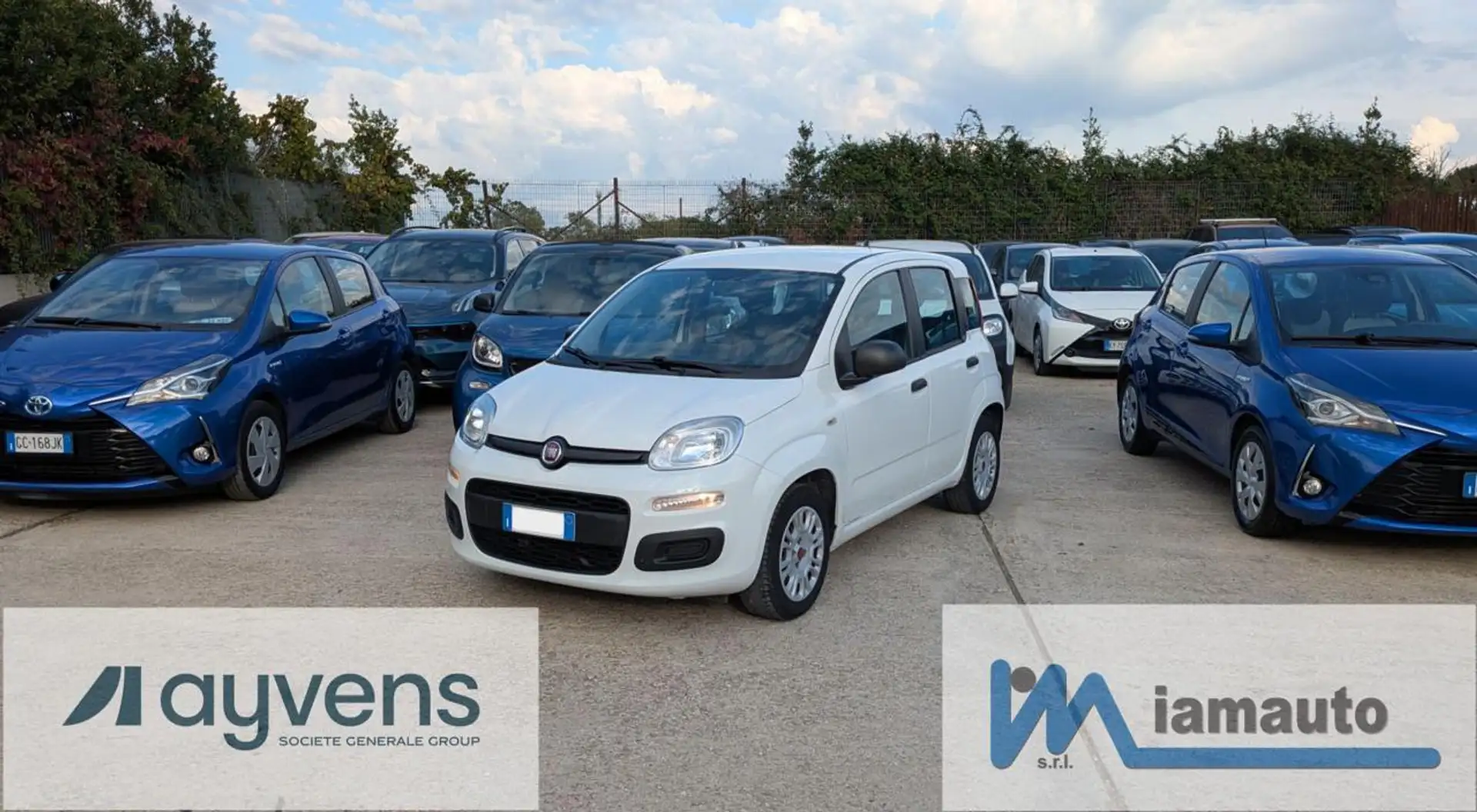 Fiat Panda 1.2cc 69cv Bianco - 1