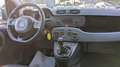 Fiat Panda 1.2cc 69cv Bianco - thumbnail 8