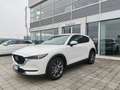 Mazda CX-5 2.2L Skyactiv-D auto 184cv AWD Signature Tetto Bianco - thumbnail 1