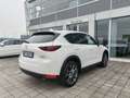 Mazda CX-5 2.2L Skyactiv-D auto 184cv AWD Signature Tetto Bianco - thumbnail 7