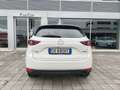 Mazda CX-5 2.2L Skyactiv-D auto 184cv AWD Signature Tetto Bianco - thumbnail 17