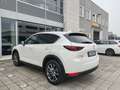 Mazda CX-5 2.2L Skyactiv-D auto 184cv AWD Signature Tetto Bianco - thumbnail 6