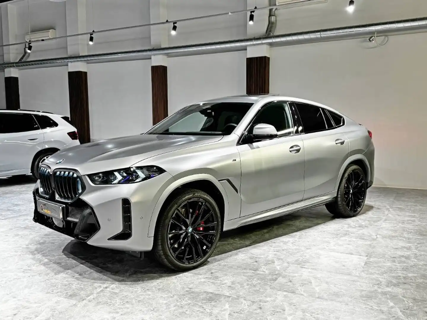 BMW X6 Xdrive 30d M-Sport PRO Tetto Navi Plus 360 Msport Grigio - 2