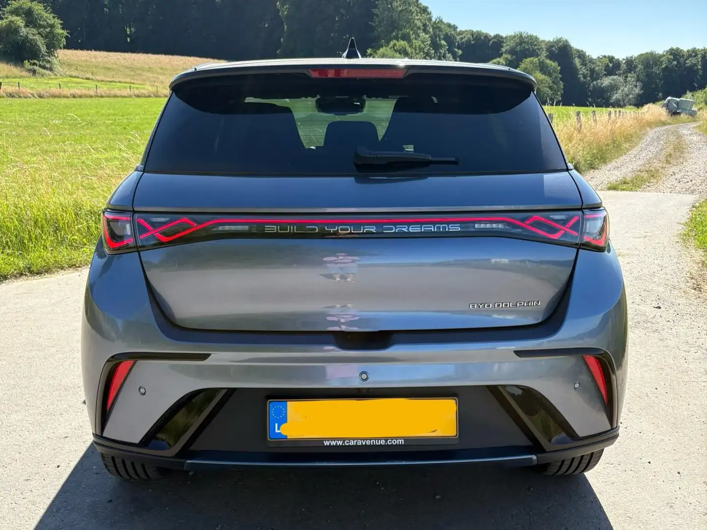 BYD Dolphin DOLPHIN Design Gris - 2