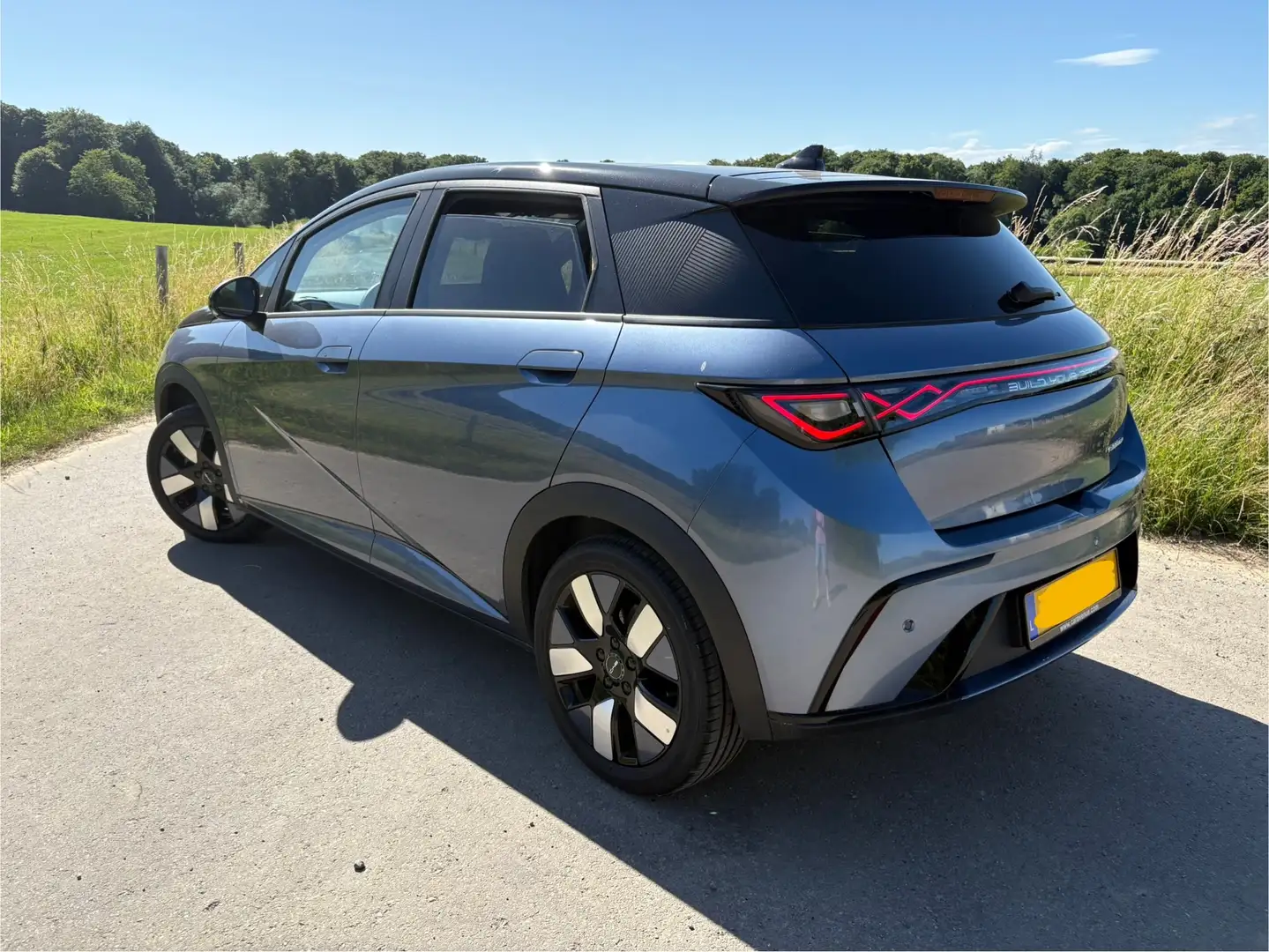 BYD Dolphin DOLPHIN Design Gris - 1