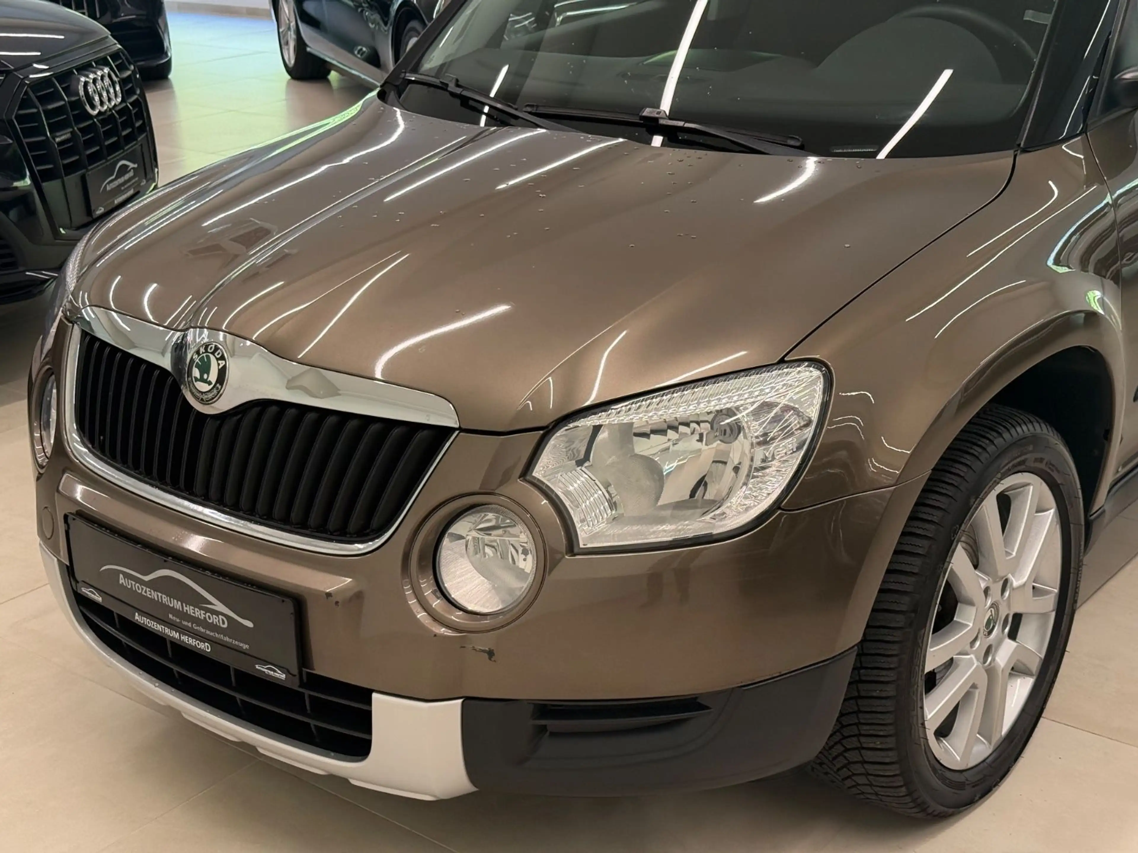 Skoda Yeti Ambition Plus Edition 4x4 DSG PDC AHK — photo 3