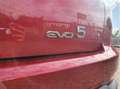 EVO EVO5 EVO 5 BZ Bianco - thumbnail 13