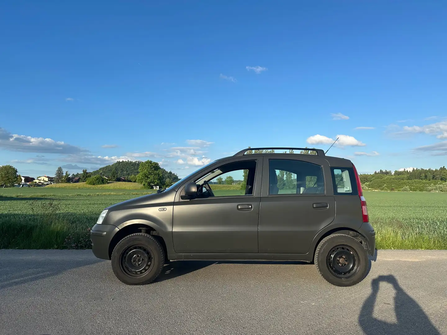 Fiat Panda Panda 4x4 Grün - 1
