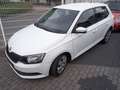 Skoda Fabia 1.0 MPI Cool Plus Weiß - thumbnail 1