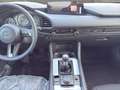 Mazda 3 3 HOMURA 2.5 L 140 PS 6GS e-SKYACTIV-G M HYBRID Weiß - thumbnail 14
