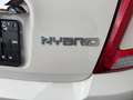 Fiat 500 1.0 Hybrid, Klima, Esp, DAB, ZV, eFH Weiß - thumbnail 6