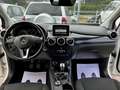 Mercedes-Benz B 180 cdi Executive " PERFETTA IN TUTTO" Bianco - thumbnail 12