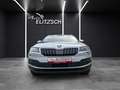 Skoda Karoq TDI Drive-125 LED Navi ACC RFK SH Silber - thumbnail 10
