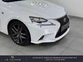 Lexus IS 300 300h F SPORT Blanc - thumbnail 3