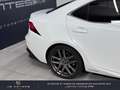 Lexus IS 300 300h F SPORT Blanc - thumbnail 6