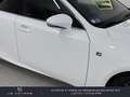 Lexus IS 300 300h F SPORT Blanc - thumbnail 7