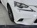 Lexus IS 300 300h F SPORT Blanc - thumbnail 5