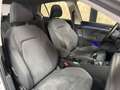 Volkswagen Golf 1.5 TSI Highline | Pano | Memory | IQ lights | Sto Bianco - thumbnail 12