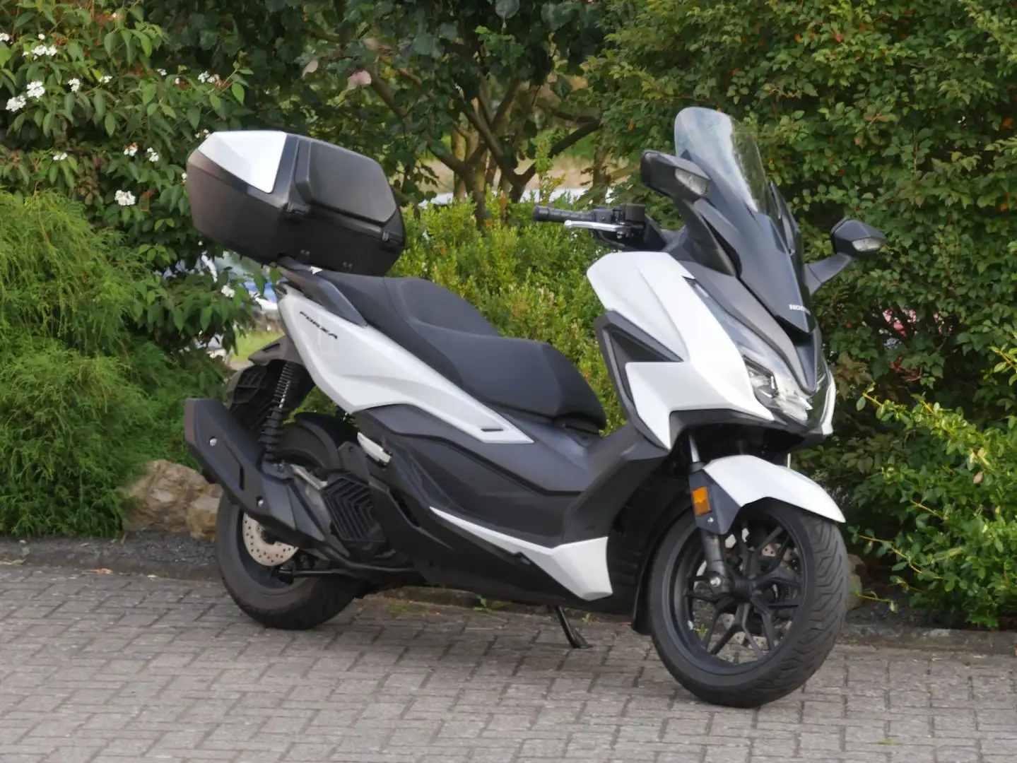 Honda NSS 125 Forza 125 Blanc - 1