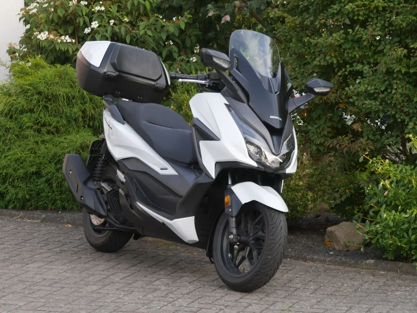 Honda NSS 125 Forza 125 Blanc - 2