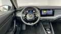 Skoda Octavia IV Combi 2,0 TDI DSG Selection Klimaaut. Grau - thumbnail 13