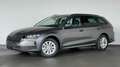 Skoda Octavia IV Combi 2,0 TDI DSG Selection Klimaaut. Grau - thumbnail 1