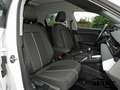 Audi A1 citycarver 30 TFSI LED GRA ALU ASG PDC Білий - thumbnail 10