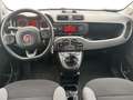 Fiat Panda 1.0 FireFly 70 CV S&S Hybrid City Life Grigio - thumbnail 8