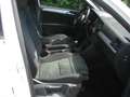 Volkswagen Tiguan 1,5 TSI ACT Sky DSG Weiß - thumbnail 20