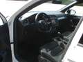 Volkswagen Tiguan 1,5 TSI ACT Sky DSG Weiß - thumbnail 11