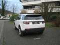 Land Rover Discovery Sport TD4 Aut. Pure Weiß - thumbnail 8