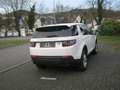 Land Rover Discovery Sport TD4 Aut. Pure Weiß - thumbnail 7