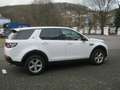 Land Rover Discovery Sport TD4 Aut. Pure Wit - thumbnail 5