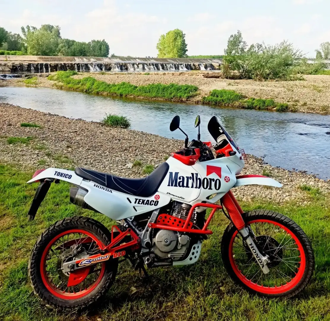 Honda NX 650 Bianco - 1